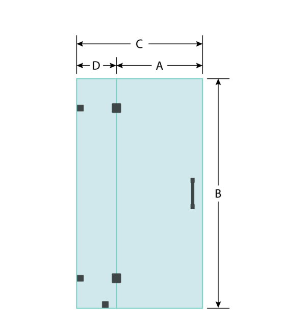 Door With Shower Panel